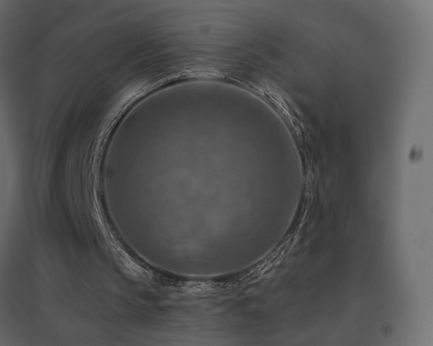 X0000096660145200802051227