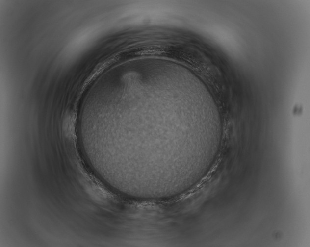 X0000096660146200802051227