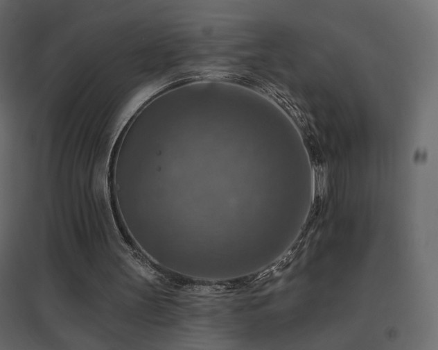 X0000096660147200802051227