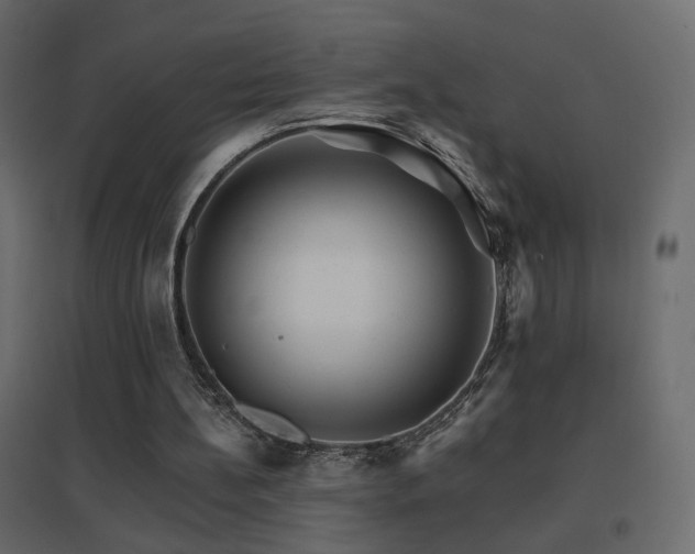 X0000096660148200802051227