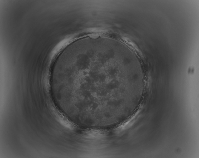 X0000096660149200802051227