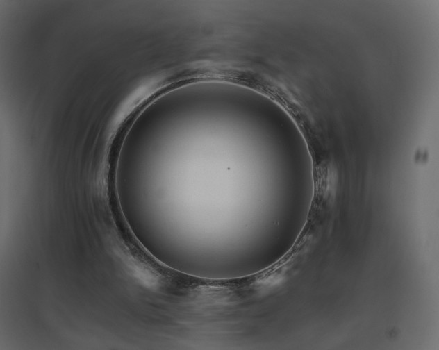 X0000096660150200802051227