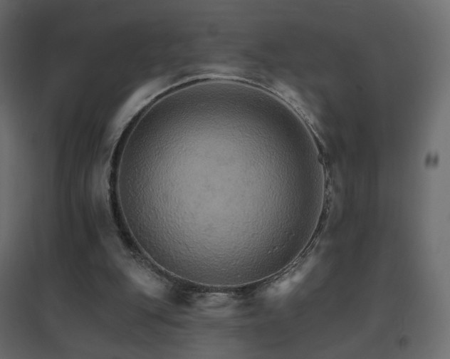 X0000096660151200802051227