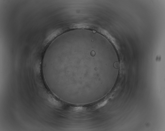 X0000096660153200802051227