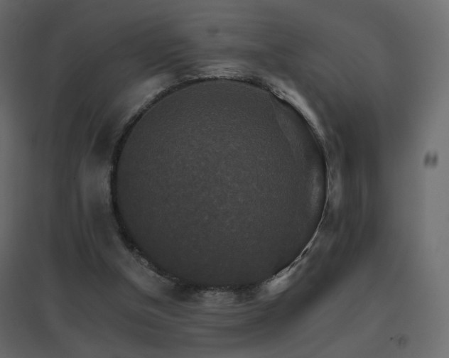 X0000096660154200802051227