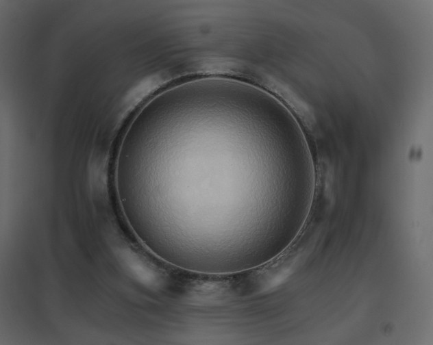 X0000096660155200802051227