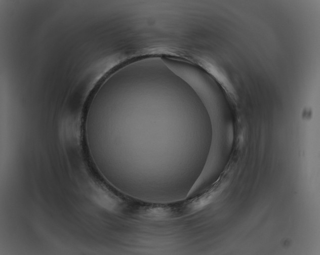 X0000096660156200802051227