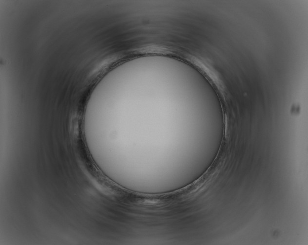 X0000096660157200802051227