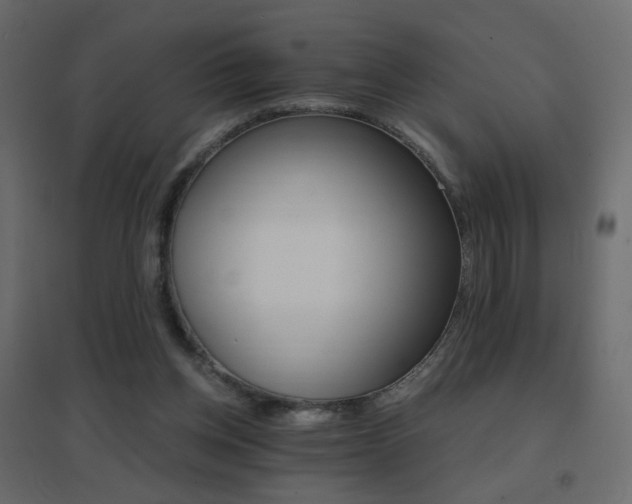 X0000096660158200802051227