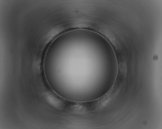 X0000096660159200802051227