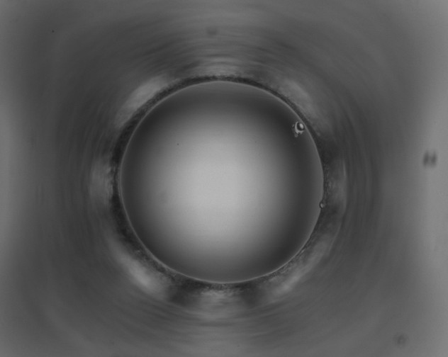 X0000096660160200802051227