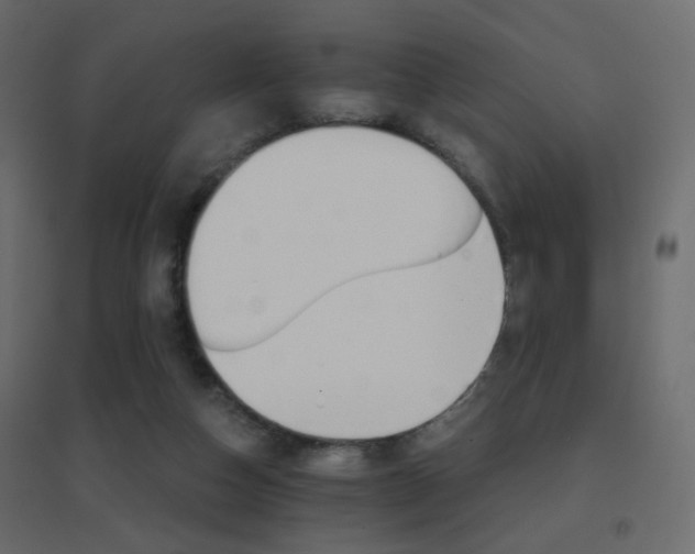 X0000096660162200802051227