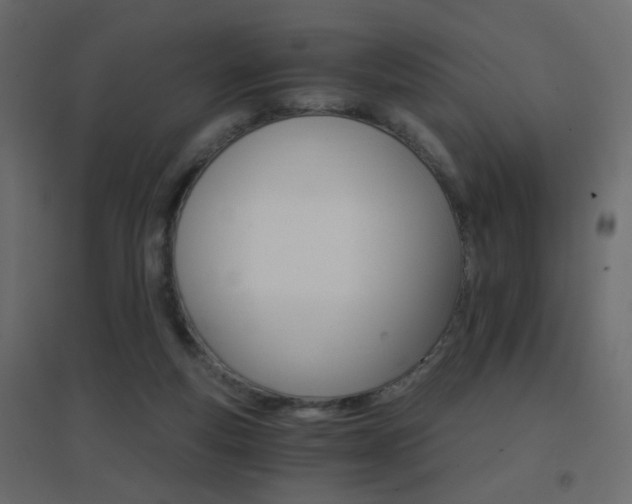 X0000096660163200802051227