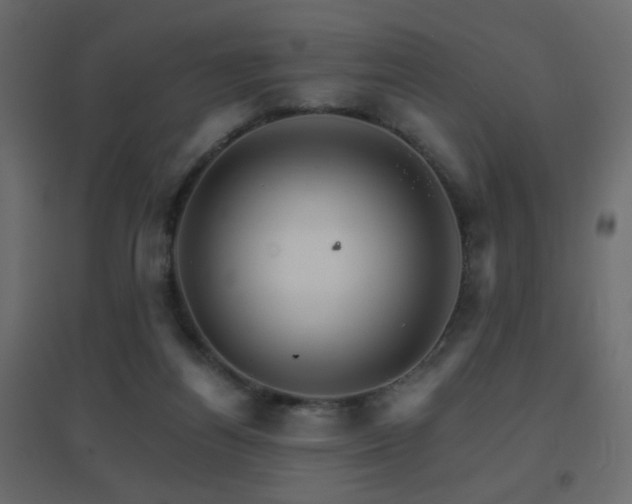 X0000096660164200802051227