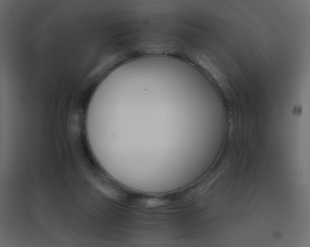 X0000096660165200802051227