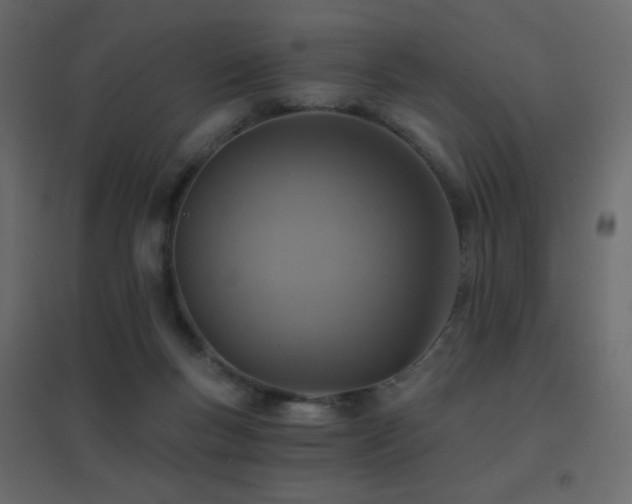 X0000096660167200802051227