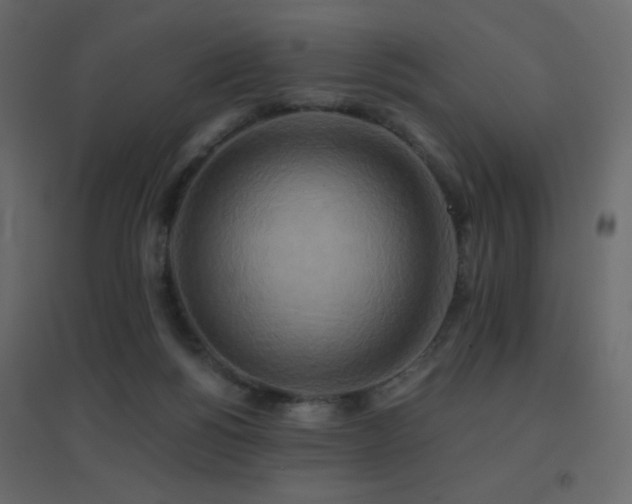 X0000096660168200802051227