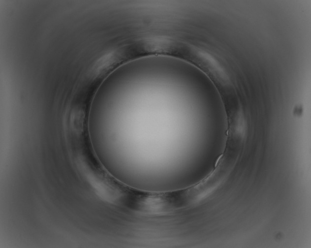 X0000096660171200802051228