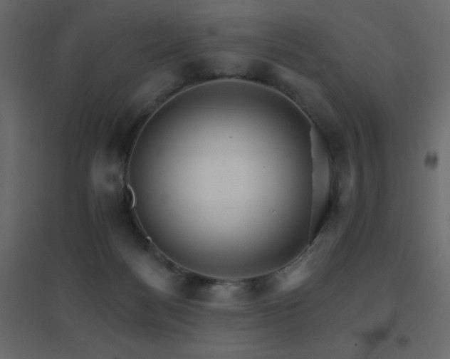 X0000096660172200802051228