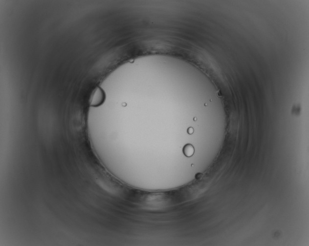 X0000096660173200802051228