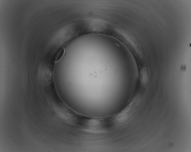 X0000096660176200802051228