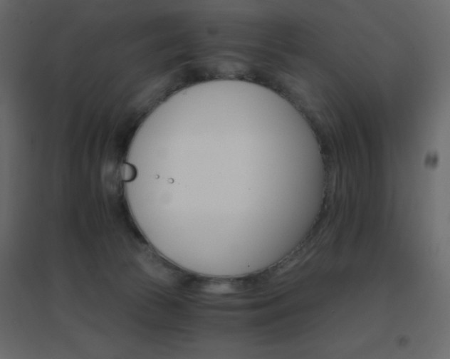 X0000096660177200802051228