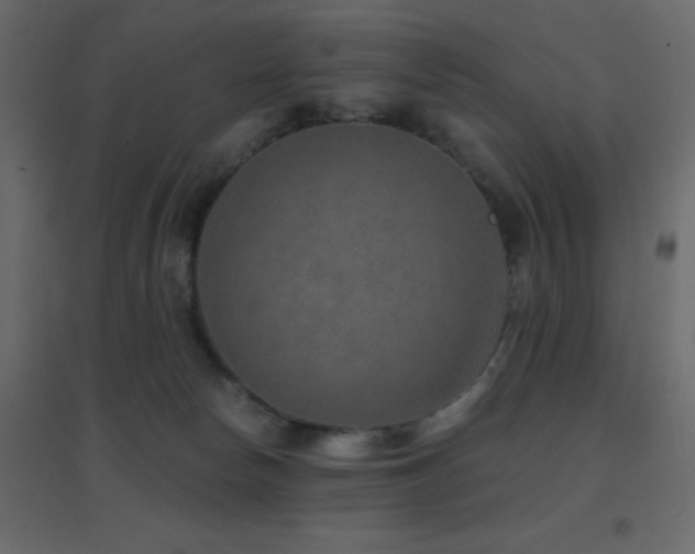 X0000096660178200802051228