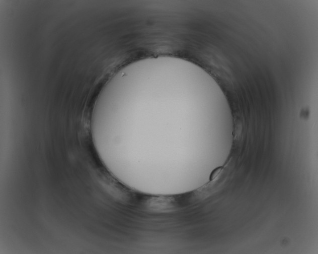 X0000096660179200802051228