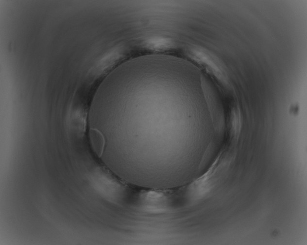 X0000096660180200802051228