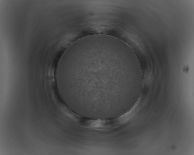 X0000096660182200802051228