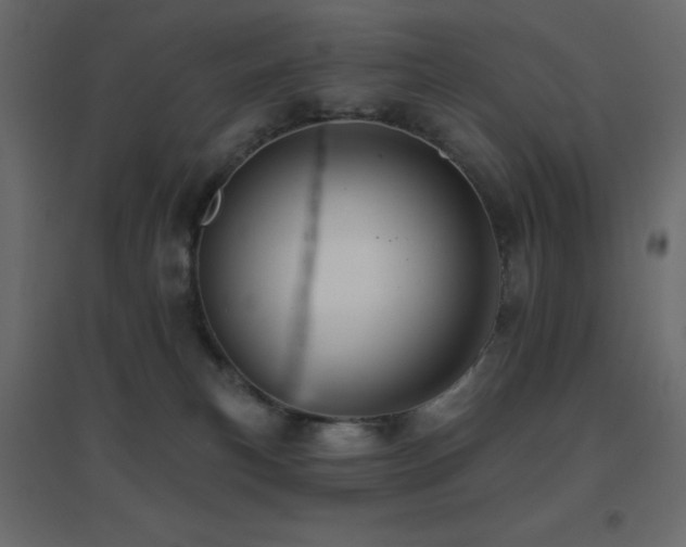 X0000096660183200802051228