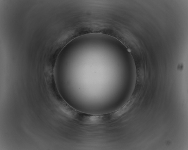 X0000096660184200802051228