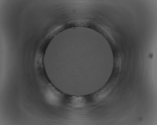 X0000096660185200802051228