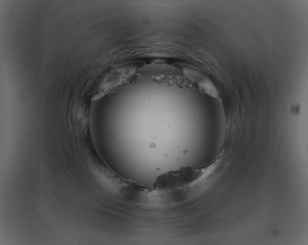 X0000096660186200802051228