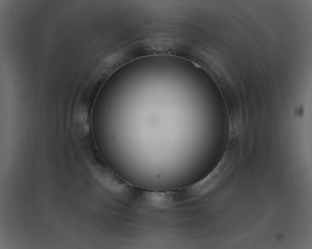 X0000096660187200802051228