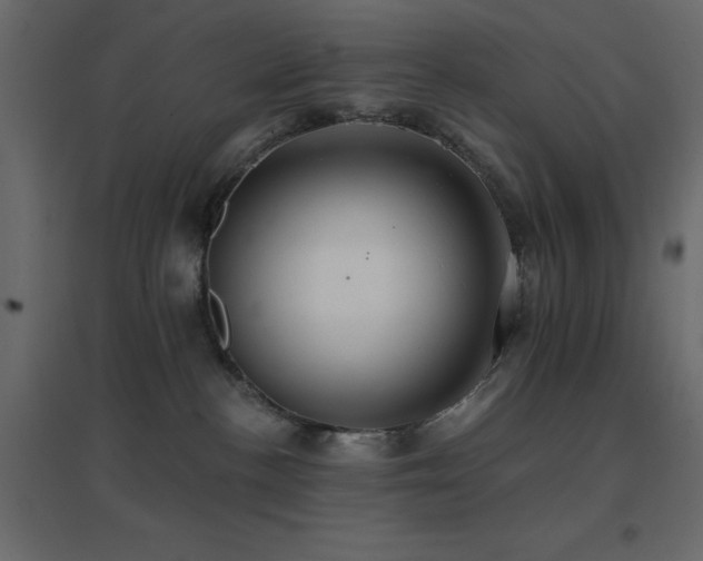 X0000096660188200802051228