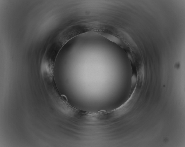 X0000096660190200802051228