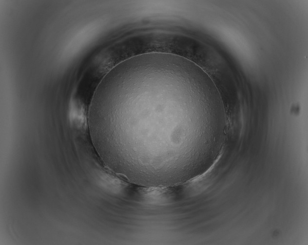 X0000096660191200802051228