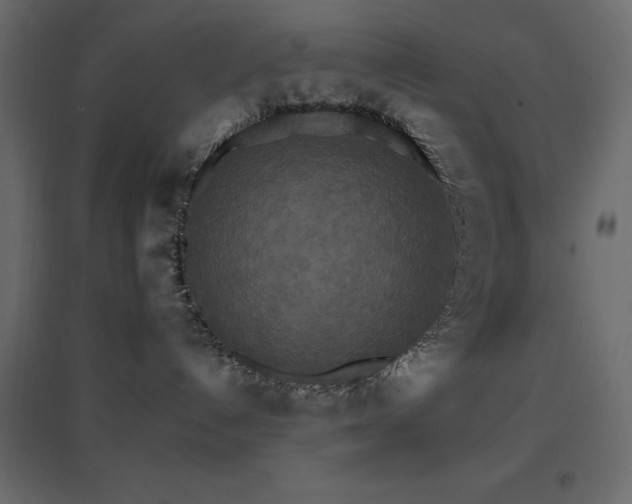 X0000096660192200802051228