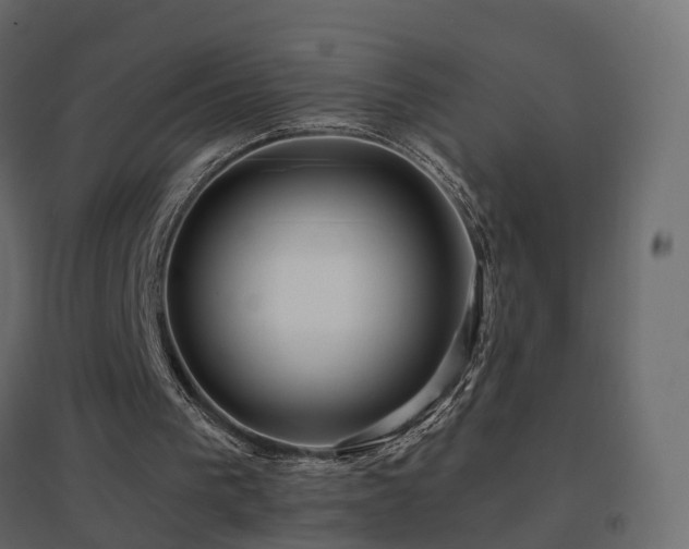 X0000096660193200802051227