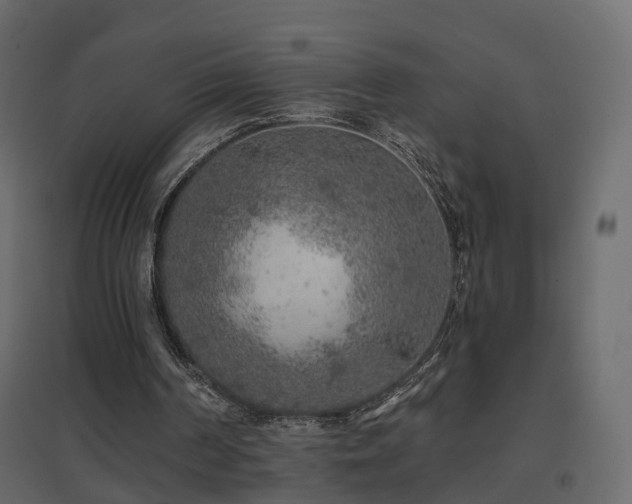 X0000096660194200802051227