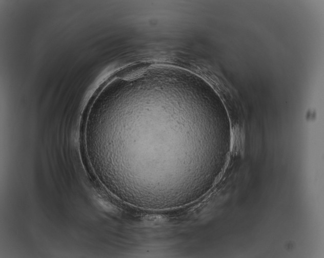 X0000096660195200802051227