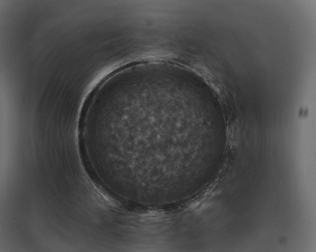 X0000096660196200802051227