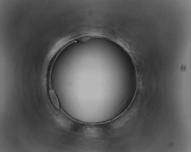 X0000096660199200802051227