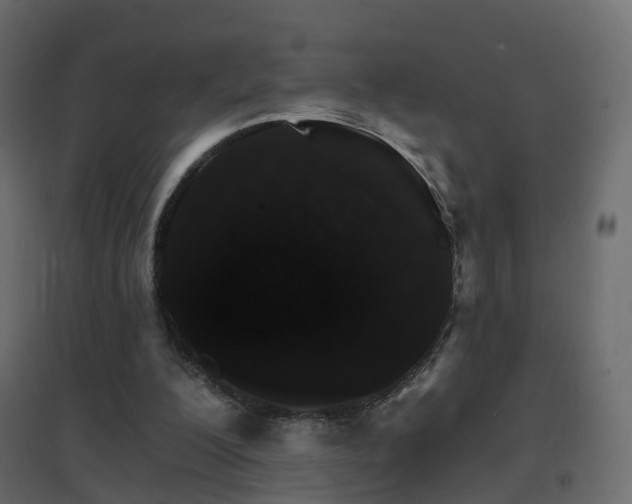 X0000096660200200802051227