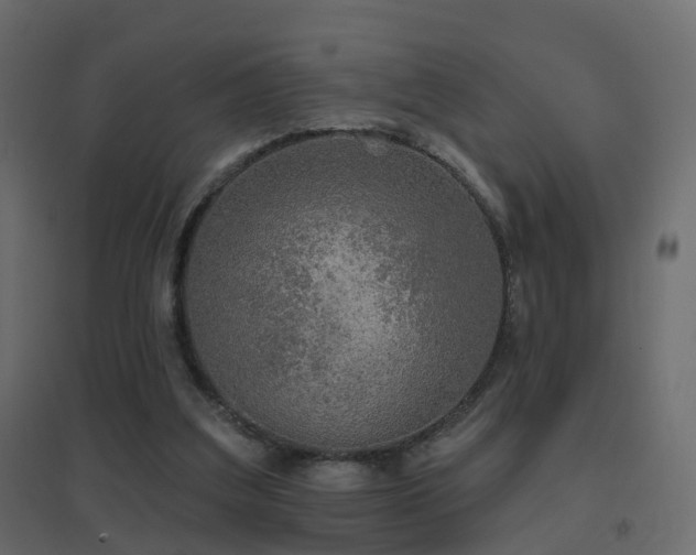 X0000096660203200802051227