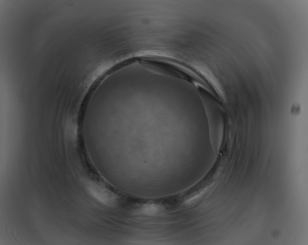 X0000096660204200802051227