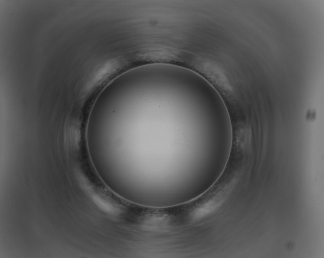 X0000096660206200802051227