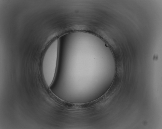 X0000096660207200802051227