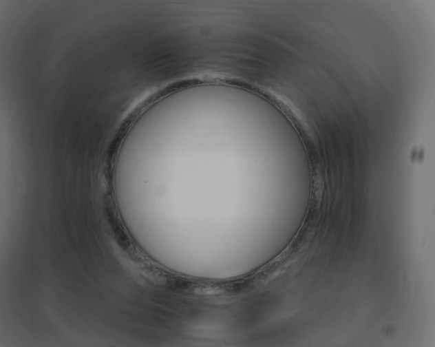 X0000096660208200802051227